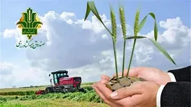 تحقق 118درصدی برنامه بیمه زراعت توسط صندوق بیمه کشاورزی در سال زراعی جاری