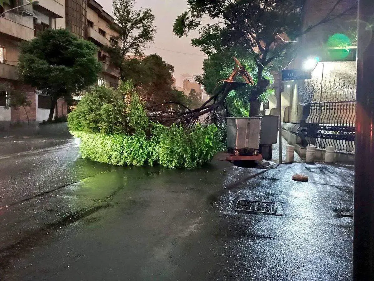 آمار مصدومان طوفان دیشب تهران به چند نفر رسید؟