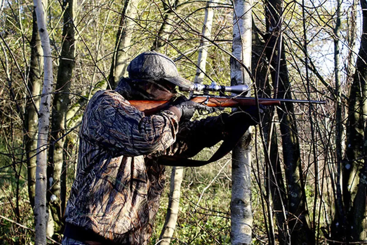 شکار این حیوان 12 سال حبس دارد! + عکس