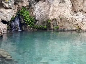 تنگ بنیون؛ نگینی سبز در قلب بوشهر