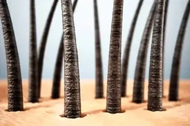 مو سر انسان احساس دارد!