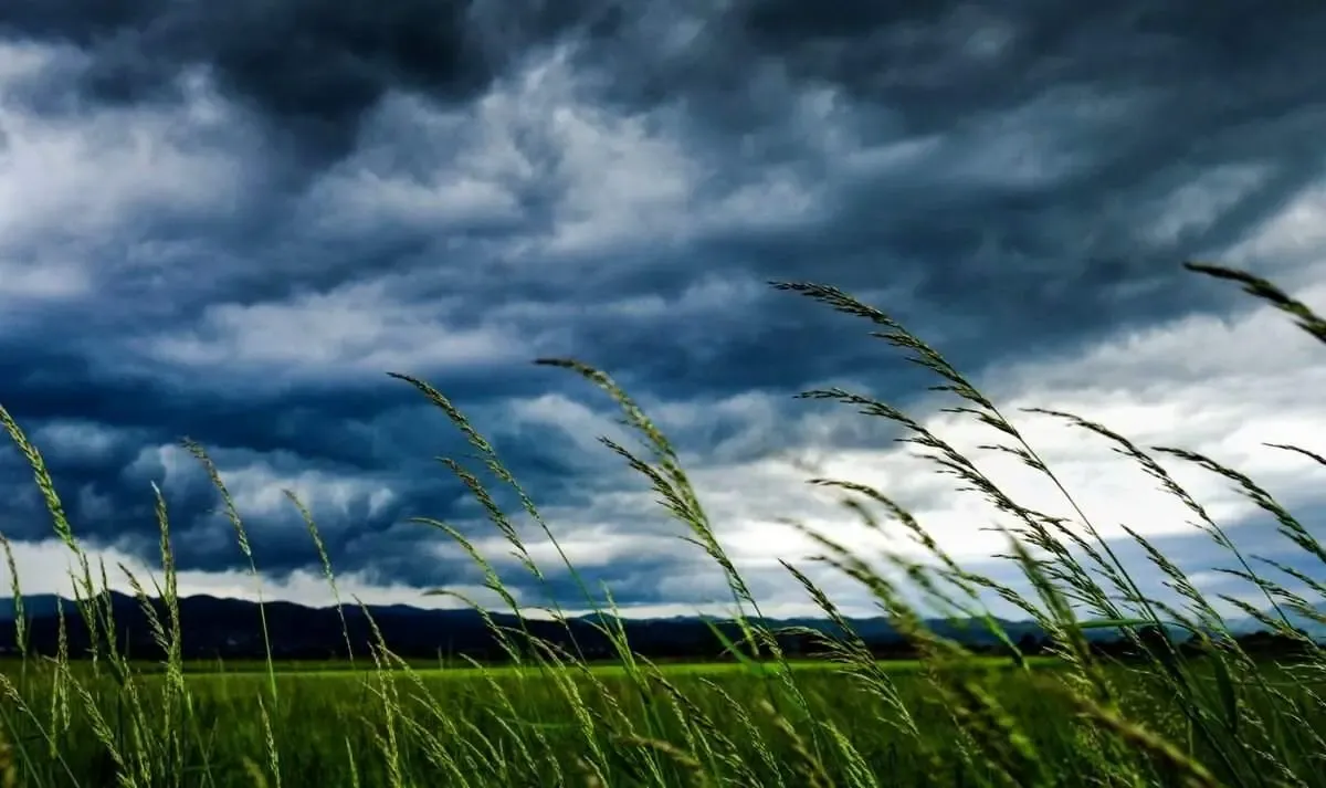 احتمال تعطیلی شنبه ۸ و یکشنبه ۹ شهریور به دلیل شرایط ویژه