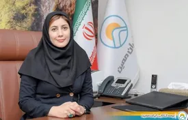 رشد چشمگیر ۲۰۳ درصدی حق بیمه تولیدی اتکایی ایرانمعین