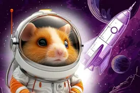 همستر تا کی وقت دارد؟