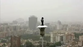 شاخص آلودگی هوای تهران شنبه ۴ بهمن ۱۴۰۴