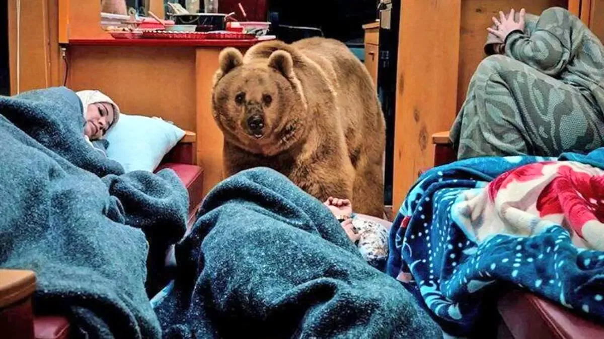 ببینید / پشت صحنه جالب حضور خرس در کمپر خانواده معمولی