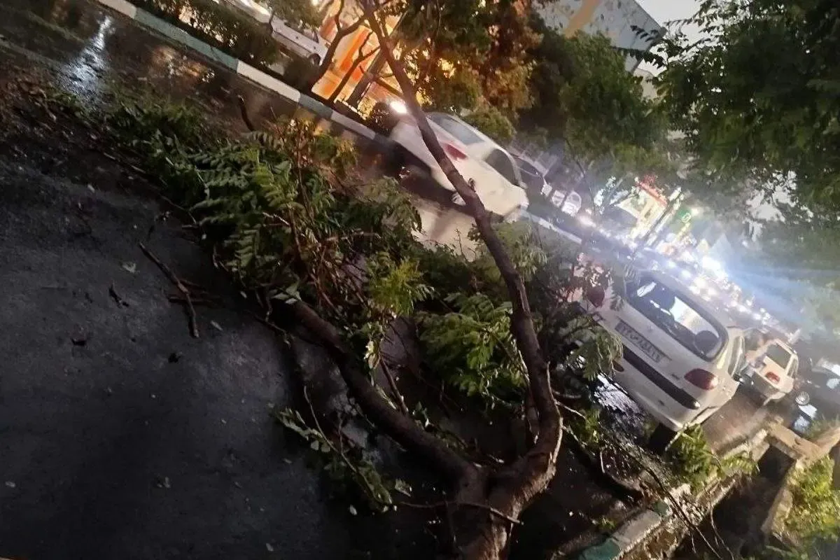 فوری/ طوفان در راه تهران/ هشدار مدیریت بحران برای رعد و برق و گرد و خاک