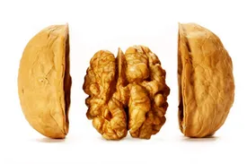 ویتامین های گردو و سلامت مغز: حمایت از عملکرد مغزی و بهبود حافظه