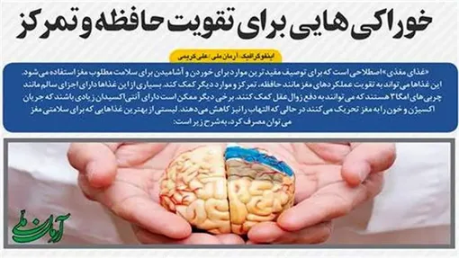 خوراکی‌هایی برای تقویت حافظه و تمرکز