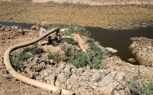 داستان یک هور/ عكاس:مهدی پدرام خو