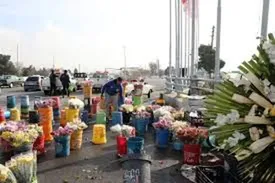 خداحافظی گلفروشان با جاده بهشت زهرا