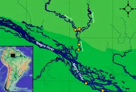 عکس | پرسه زدن جانور عجیب و ثبت نشده در آب‌های آمازون!