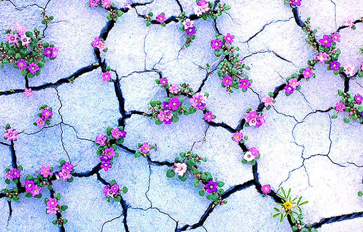 تفکر منطقی و مثبت اندیشی