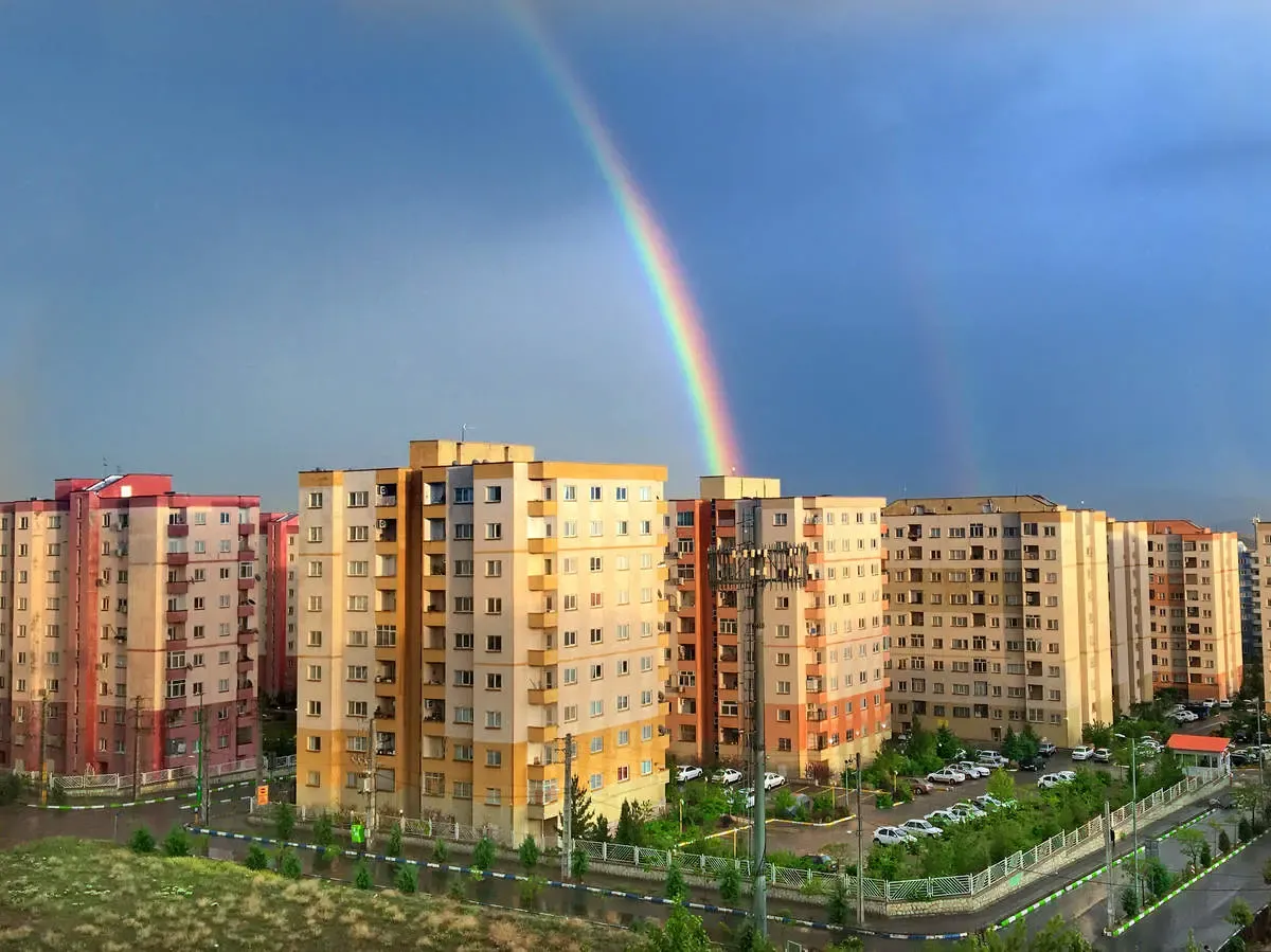 پس از باران/ عکس