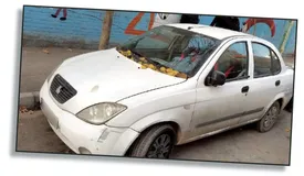 اعتراف دختر ۳۱ ساله به قتل فجیع پدر ثروتمندش در مشهد