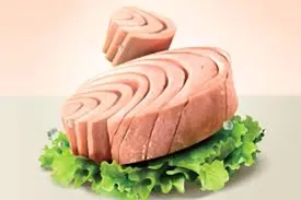 تن ماهی هم تبدیل به خاطره شد