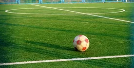 ببینید / حمله ناگهانی زنبورها به زمین فوتبال بازی را متوقف کرد!