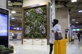 شوک قیمتی در بازار پرواز‌ها / قیمت جدید بلیط هواپیما اعلام شد