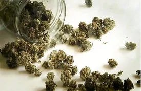 هشدار درباره مخدرهای جدید / «کِمیکال» و «بنزای» خطرناک‌تر از گل