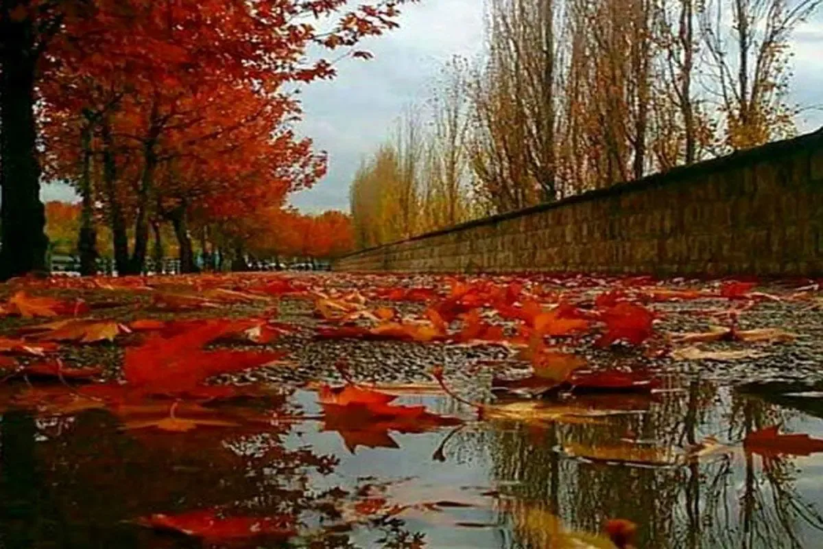 باران پاییزی از چهارشنبه در کشور