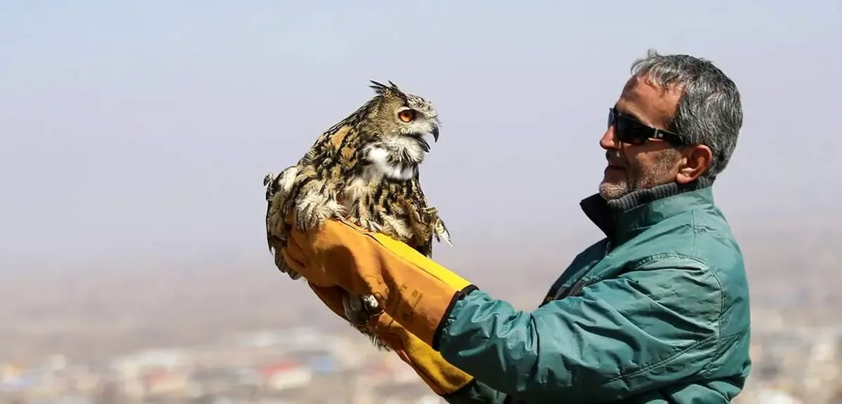 بزرگترین جغد ایران در کدام شهر است؟