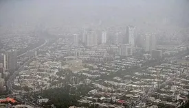 نیمی از بیماریهای مزمن ریه ناشی از آلودگی هوا