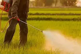 طرح جدید اروپا برای مقابله با آفتکشها، صبحانه را گران میکند؟