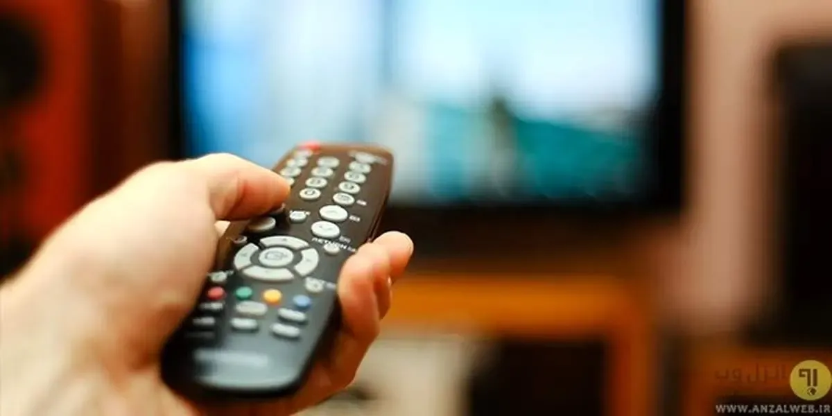 برخورد شبکه نسیم با مسببان پخش برنامه خاطی