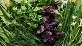 سبزی خوردن؛ کیلویی ۸۵ هزار تومان!