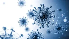 قدرت بالای بیماری‌زایی در کرونای «اُمیکرون» / تمایل «ویروس» به سمت آلودگی در جوانان