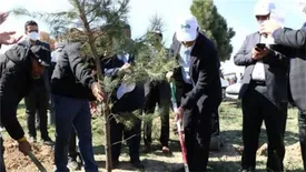 گردهمایی بزرگ رفاه در روز درختکاری