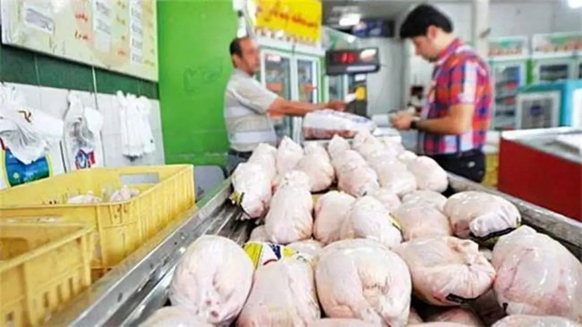 مرغ گران و مسئولان بی تفاوت!