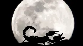 قمر در عقرب اسفند ۱۴۰۳ شروع شد/ چه کارهایی انجام ندهیم؟