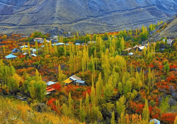 طبیعت