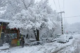 بارش برف شدید از فردا سه شنبه 5 اسفند در این مناطق/ زمستان برگشت