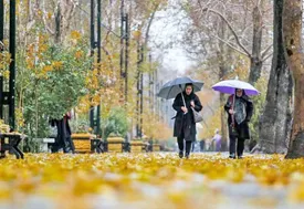 بارش‌های پاییز کمتر از نصف شد