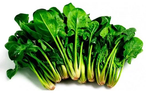 کاهش سطح کلسترول با «اسفناج»