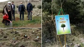 کاشت 14۱ اصله نهال به یاد شهدا توسط بیمه کوثر