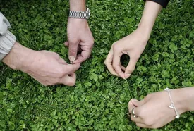 «سیزده بهدر» واقعا نحس است؟