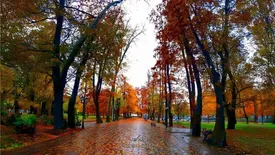 خوش آب و هوا ترین شهرهای ایران برای سفر پاییزی