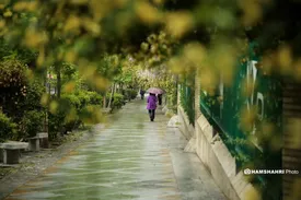 هشدار بارش تگرگ و کولاک برف در تهران/ آمادهباش دستگاههای اجرایی