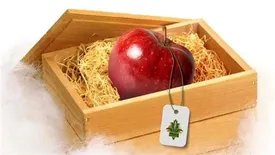 رشد 71 درصدی پرداخت تسهیلات به صنایع وابسته و خدمات کشاورزی در هفت ماهه سال 1400