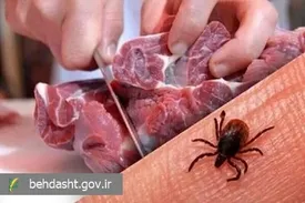 هشدارهای بهداشتی درباره تب کریمه کنگو