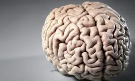 درمان بیماری آلزایمر با انار