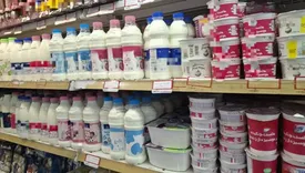 قیمت جدید انواع پنیر و ماست