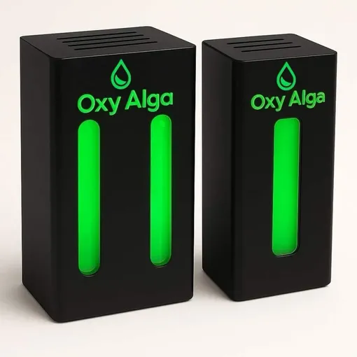 «اکسی آلگا»؛ نسل جدید تصفیه هوا