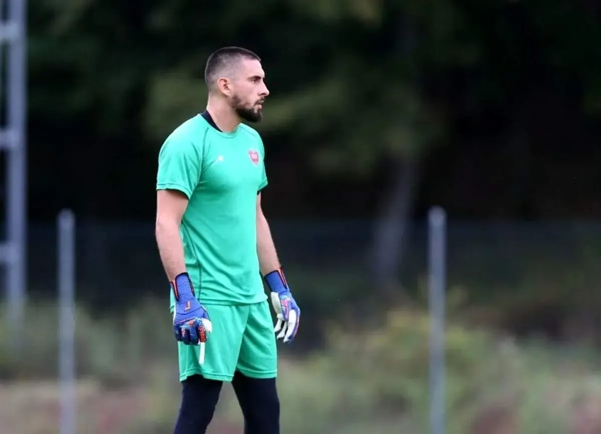 دو گزینه داخلی برای جایگزینی گندوز