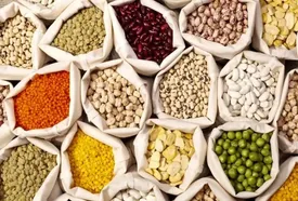 لوبیا چیتی رکورد گرانی را شکست
