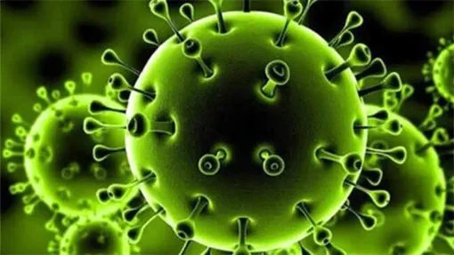 هشدار! رعایت پروتکل‌های بهداشتی کاهش یافته است!