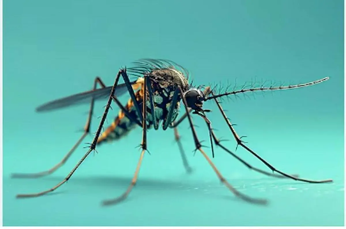 اعلان هشدار به تهرانی‌ها!